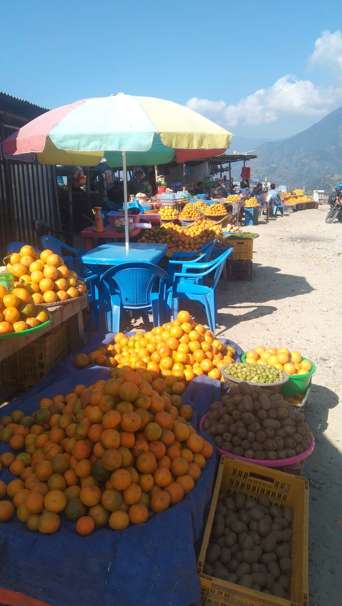 सिन्धुलीमा किसानलाई जुनार बिक्री गर्न भ्याइनभ्याइ